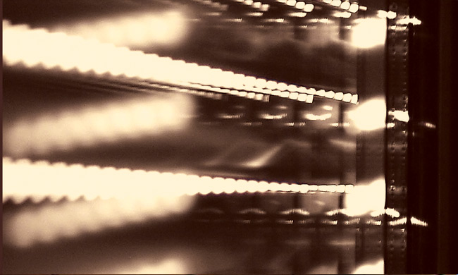 Photo Les avantages des volets roulants 1